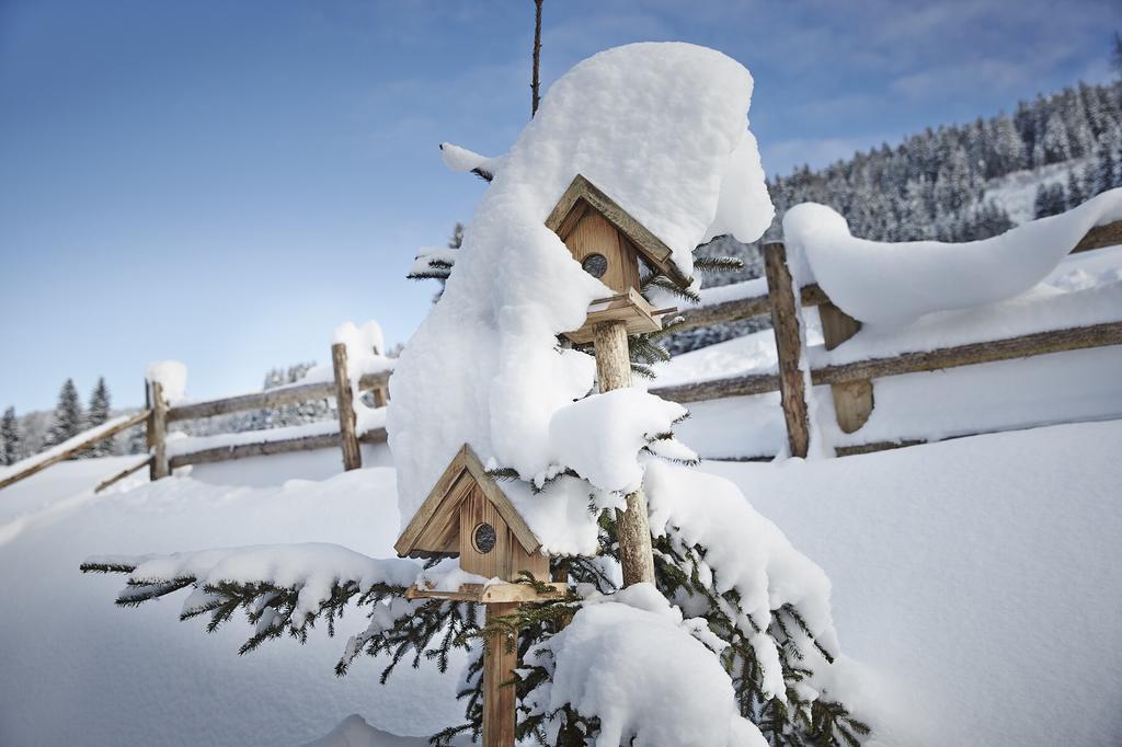 Auhaeuslalm Villa Maria Alm am Steinernen Meer Exteriör bild