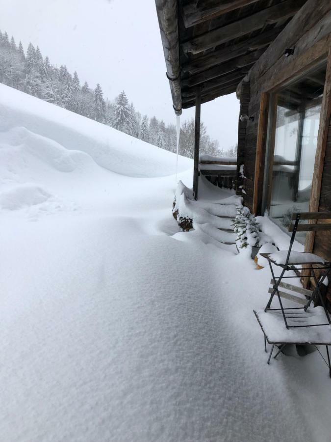 Auhaeuslalm Villa Maria Alm am Steinernen Meer Exteriör bild