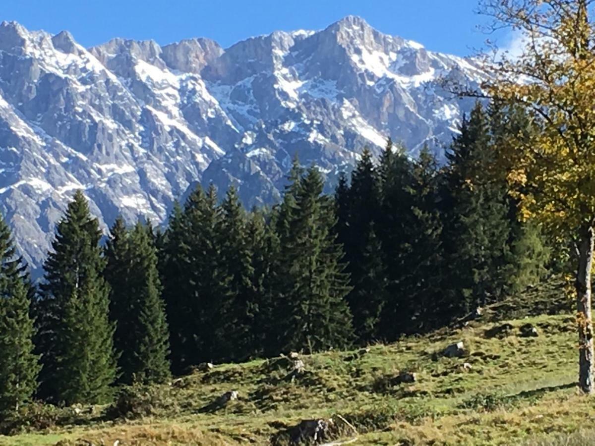 Auhaeuslalm Villa Maria Alm am Steinernen Meer Exteriör bild